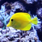 seattleaquariumfeatured