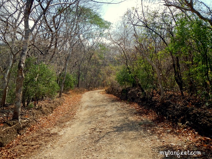 barra honda national park