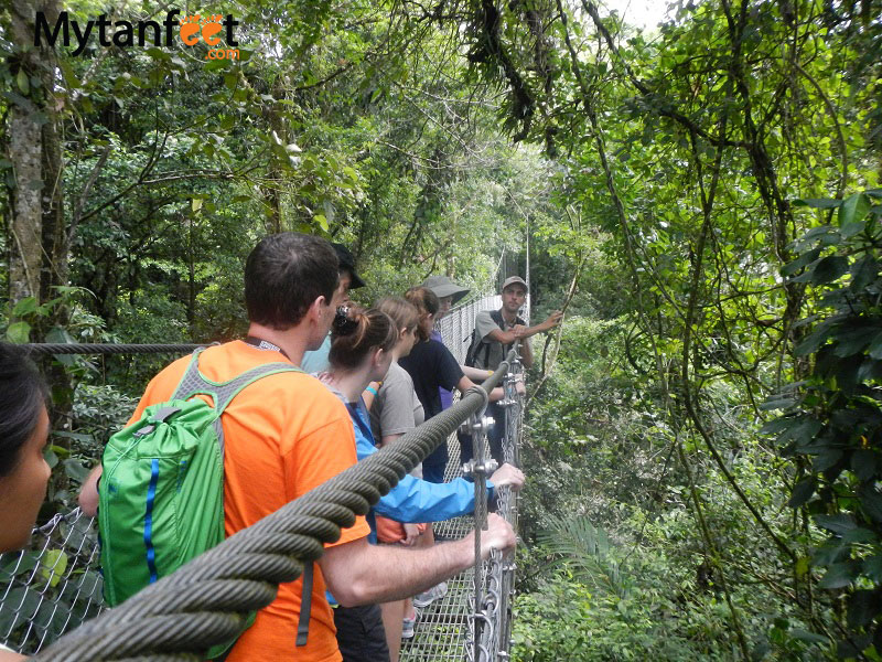 arenal volcano combo tour - hanging bridges