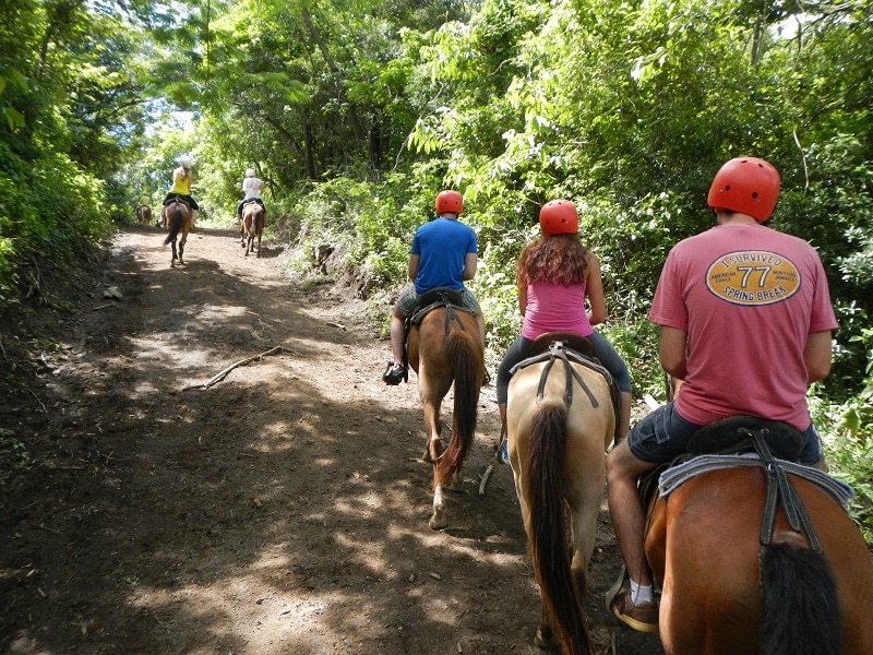 buena vista combo tour horseback riding