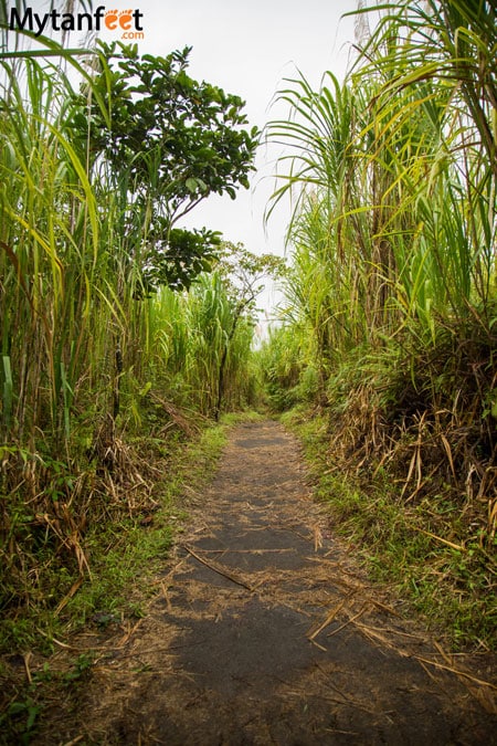 Arenal Volcano National Park - hiking the national park