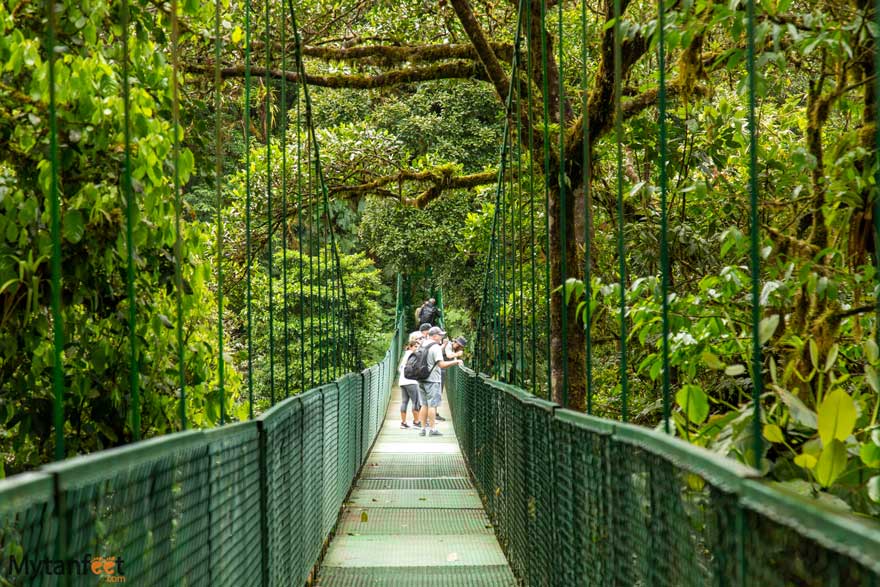 Monteverde hanging bridges