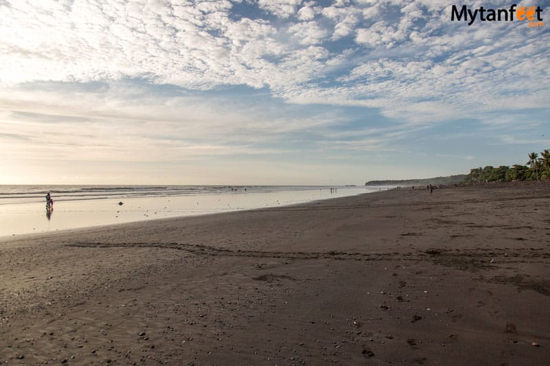 Ostional wildlife Refuge - Playa Ostional Costa Rica