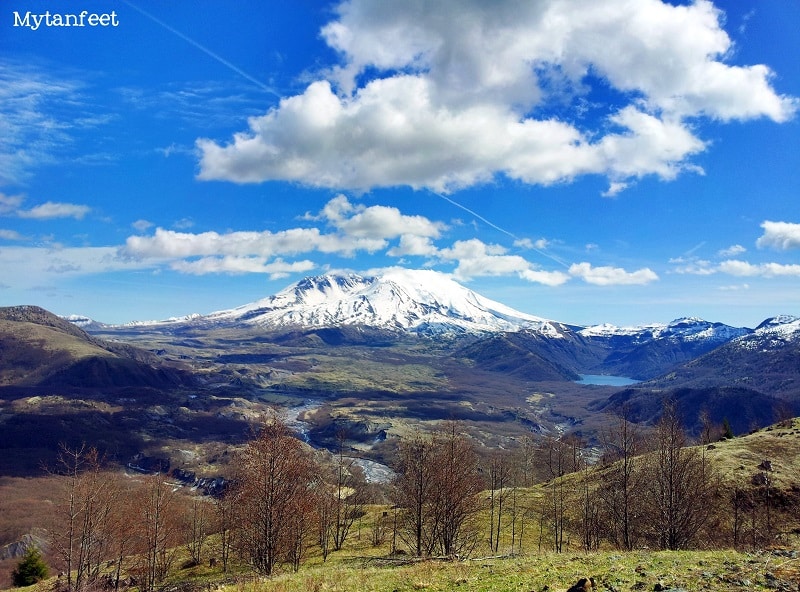 How to Spend One Day at Mount St Helens in Washington