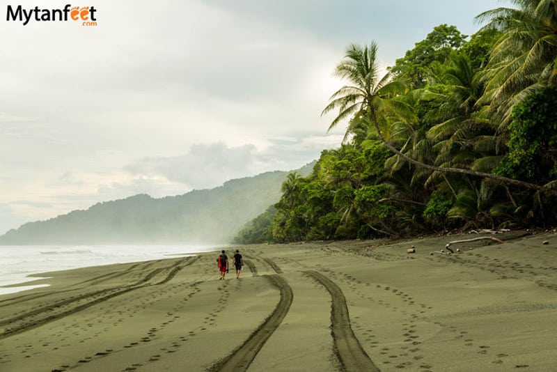 things to do in costa rica - Corcovado national park