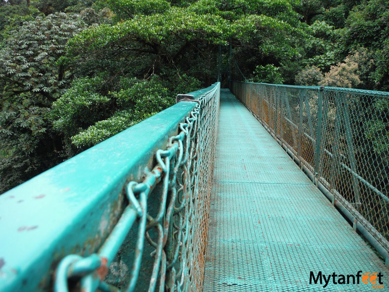 things to do in costa rica - Hanging bridges monteverde