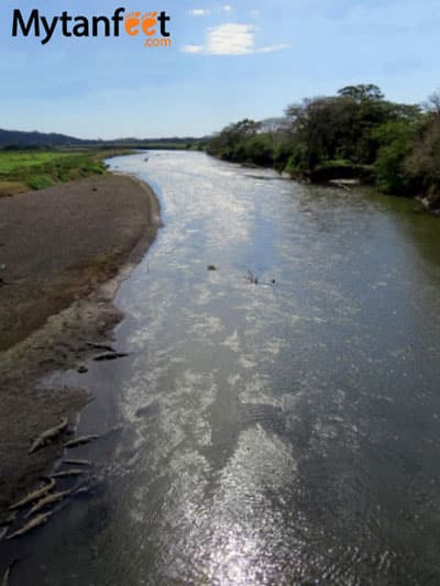 things to do in costa rica -Rio tarcoles crocodiles