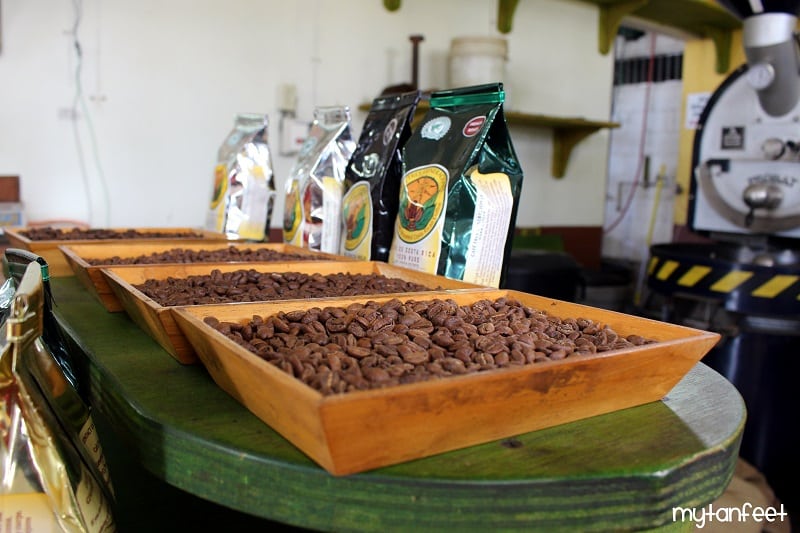 doka coffee estate tour