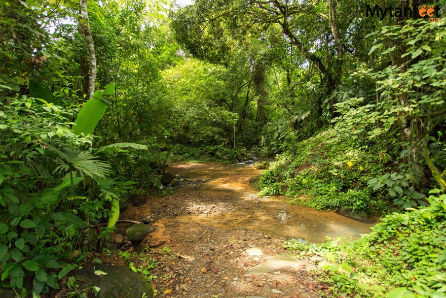 Nauyaca Waterfalls Trail