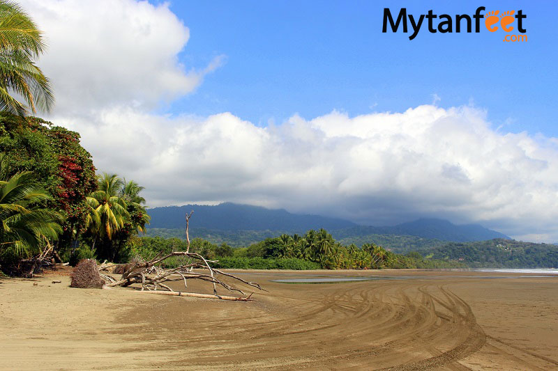 marino ballena national park in Costa rica activities