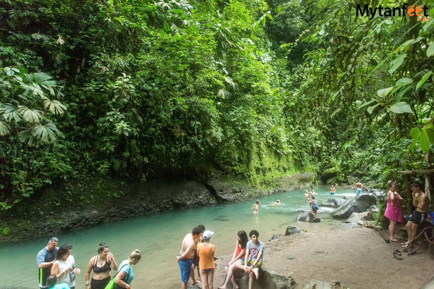 La Fortuna Waterfall Picture Postcard Rainforest Waterfall