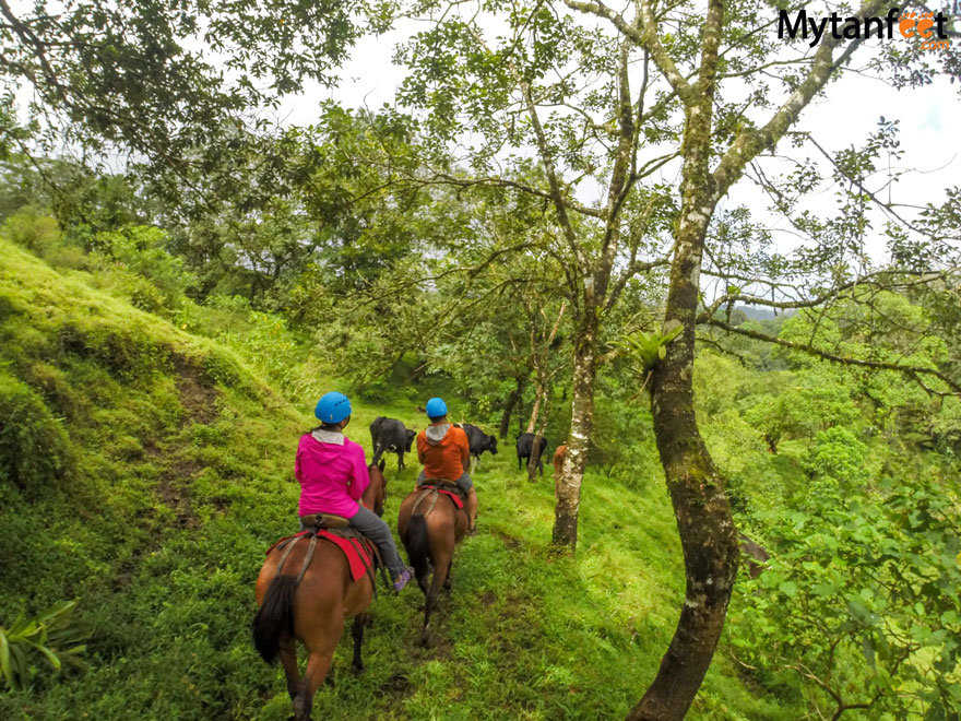 Arenal Horseback Riding Tour