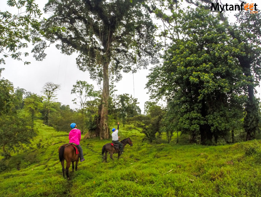 Arenal Horseback Riding Tour