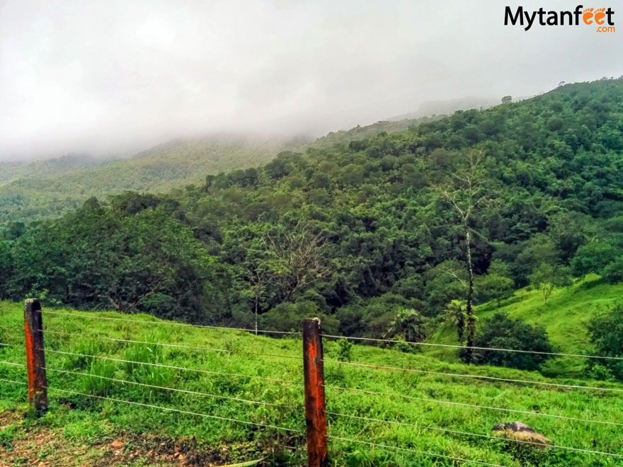 Arenal Horseback Riding Tour 