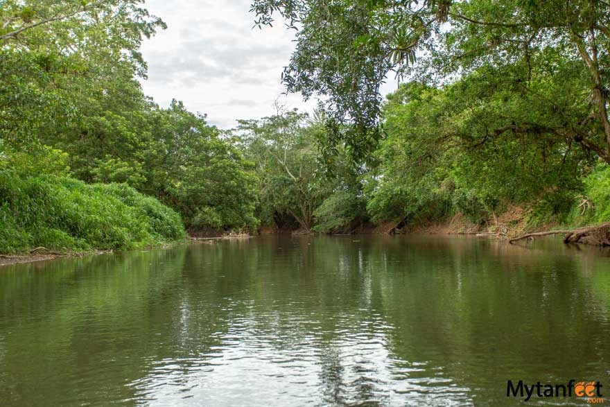 rio frio safari float - Pure Nature safari from La Fortuna