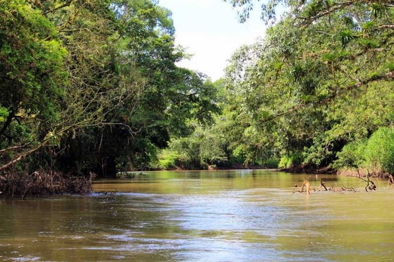 Rio Frio Safari Float