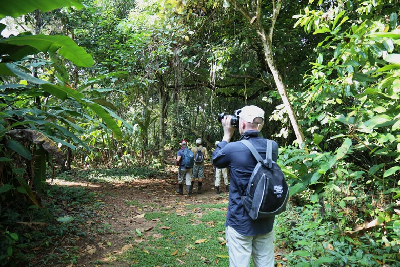 Hiking San Pedrillo and Sirena Station in Corcovado National Park