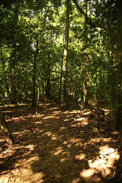 San Pedrillo and Sirena Station in Corcovado National Park - Trails Sirena