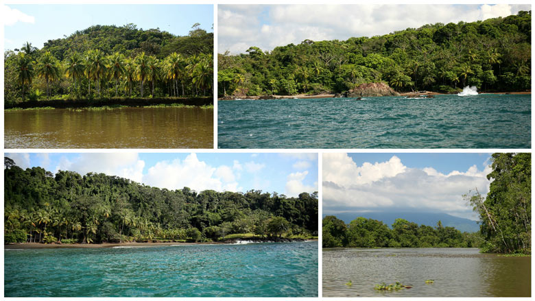 casa corcovado jungle lodge - boat ride