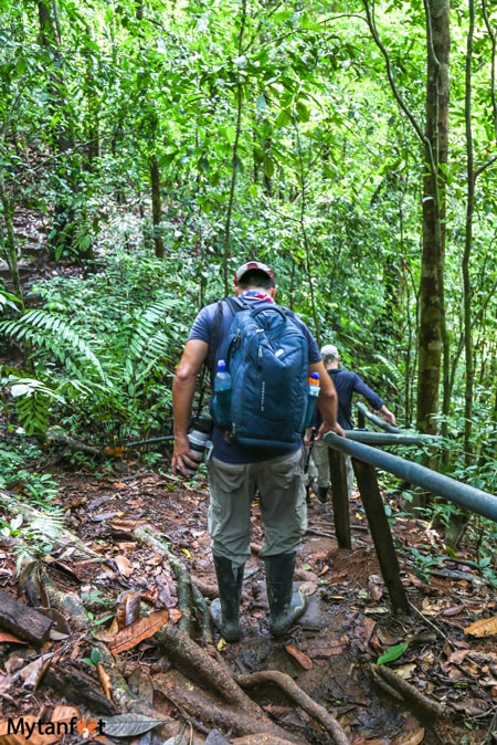 A man in hiking gear, carrying a backpack and camera is walking through a forest trail, wearing rain boots at the San Pedrillo station, in Corcovado National Park