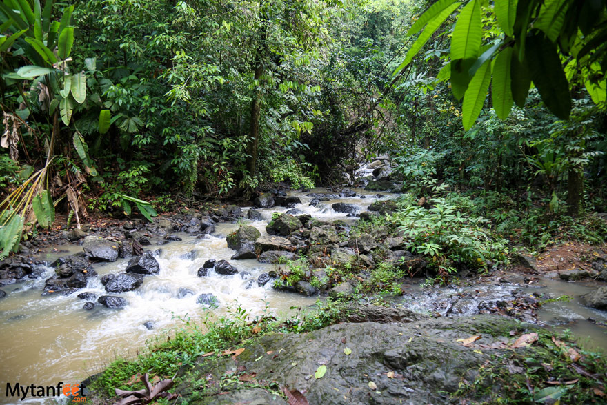 San Pedrillo station in Corcovado National Park