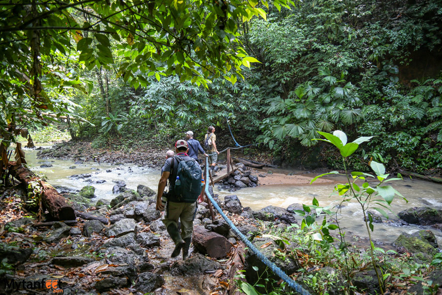 A group of men are crossing a river in the rainforest, wearing hiking gear in Corcovado National Park