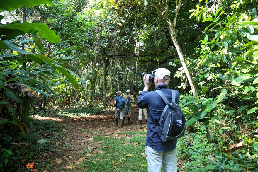 A man in hiking gear wearing a backpack is standing, looking at something through a camera in a rainforest, in Corcovado National Park - San Pedrillo sector. In front of him a ways up is a group of 3 people in hiking gear looking at the trees