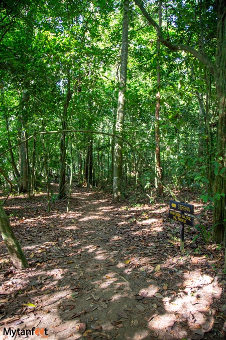 Sirena Station trail