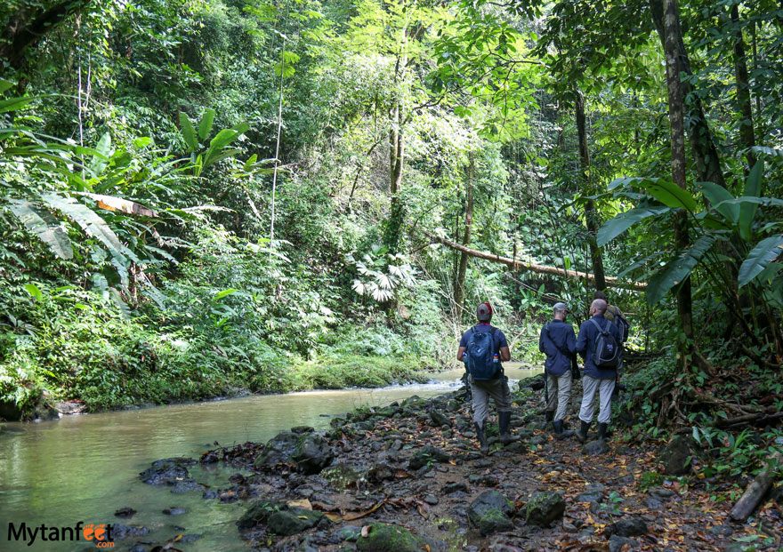 A group of three men in hiking gear are walking on a riverbank, in the middle of Corcovado National Park