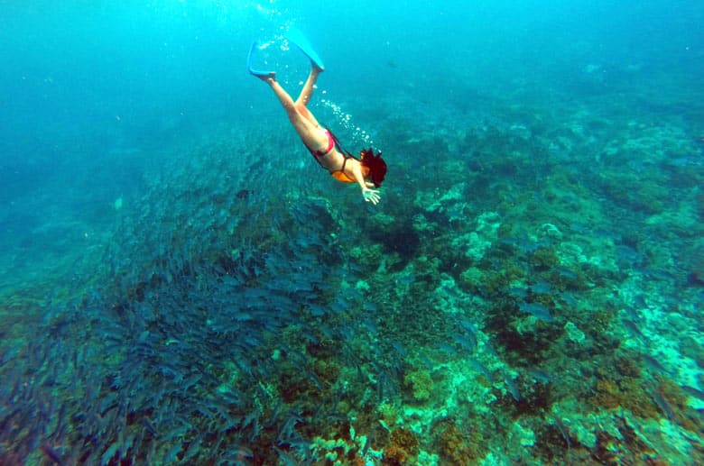 snorkeling at cano island - swimming with school of bigeye jacks