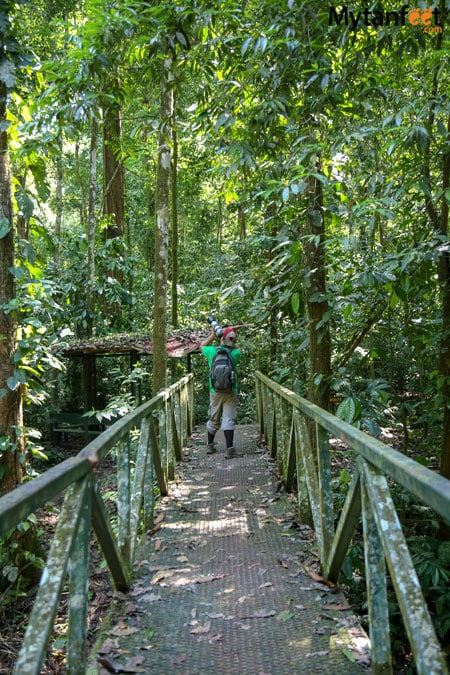 Carara National Park trails