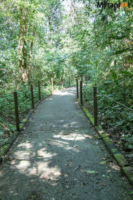 Carara National park universal trail