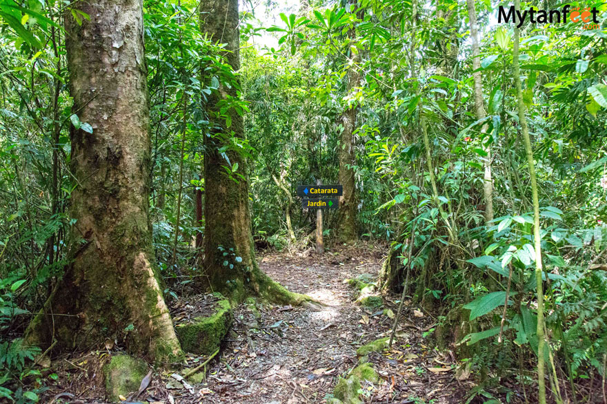 Del toro gardens and trail