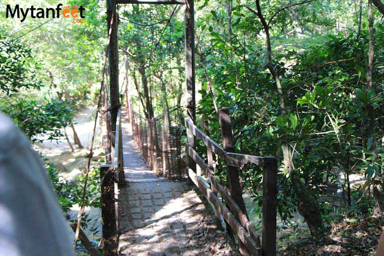 Rincon de la Vieja National Park - boiling mud pots hike