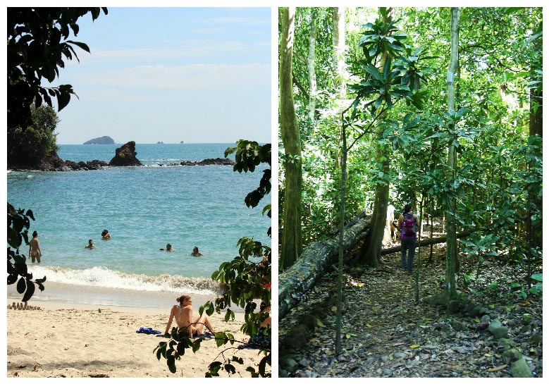 things to do in Playa Jaco - manuel antonio and carara national park