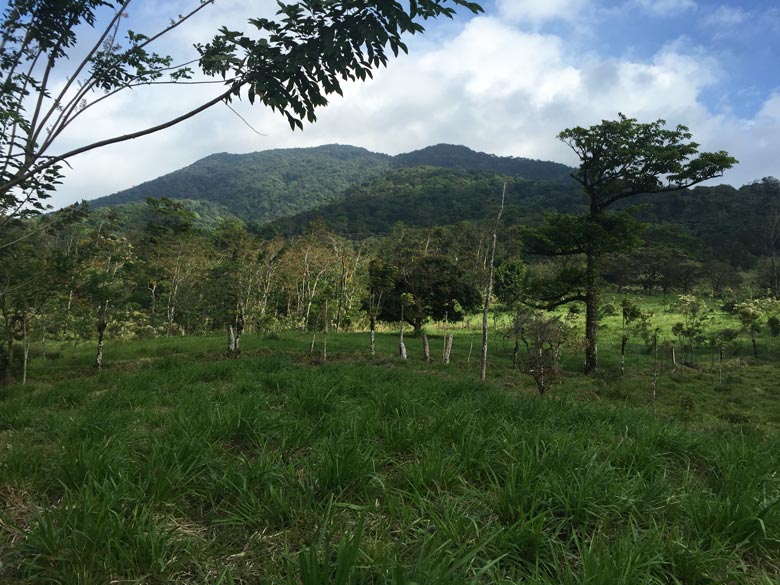 View from the mirador at Casitas Tenorio