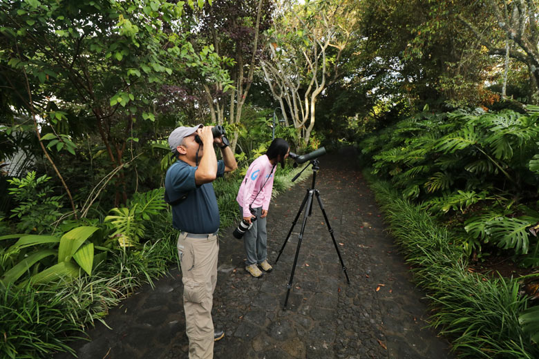 Finca Rosa Blanca - Hummingbird birdwatching