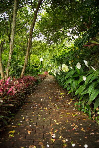 Hotel bougainvillea in Heredia - Garden trails