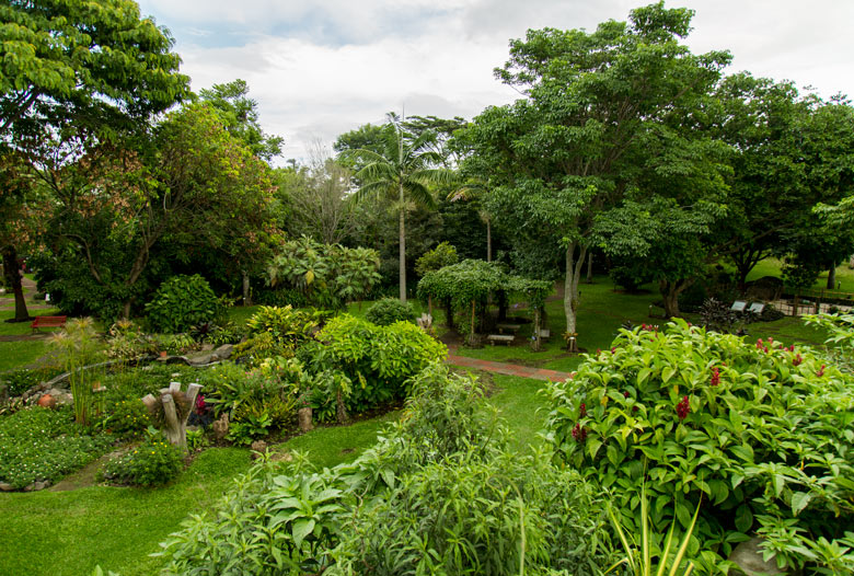 Hotel bougainvillea in Heredia - Garden