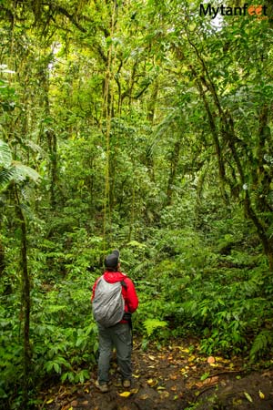 Packing list for Costa Rica - Monteverde