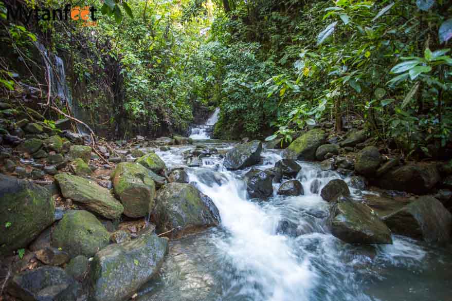 Oxygen Jungle Villas - waterfall