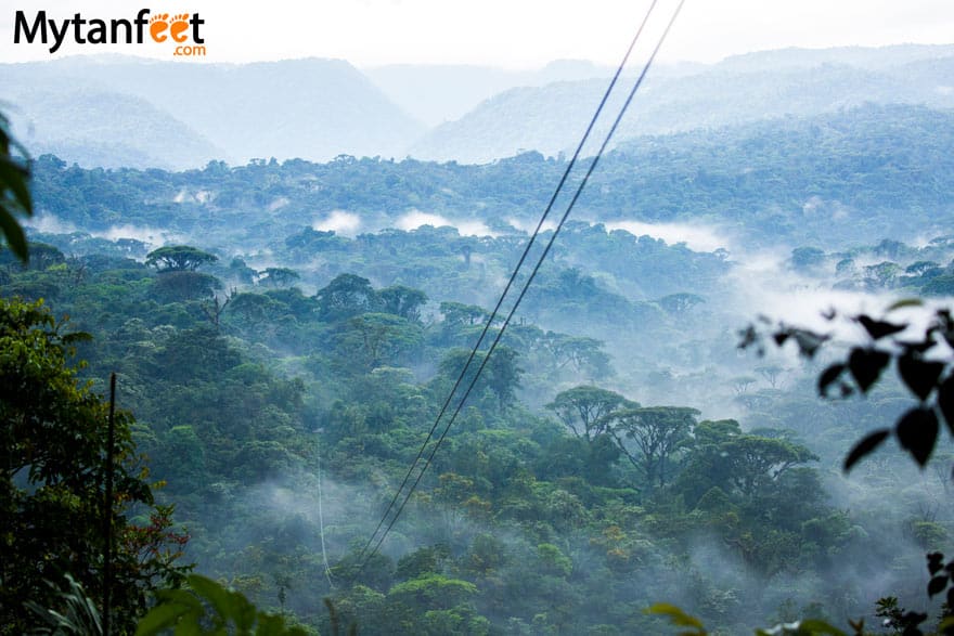 Rainforest Adventures Costa Rica Atlantic - Zipline