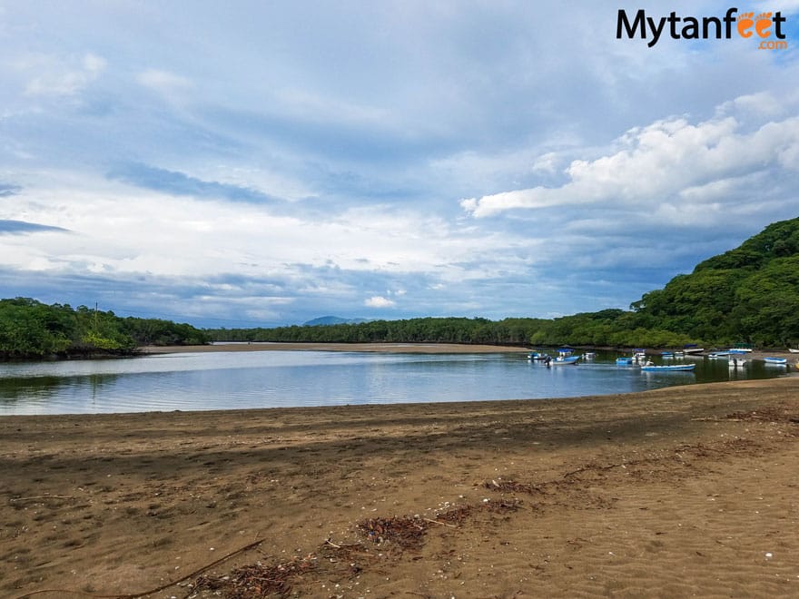 tamarindo estuary boat ride 