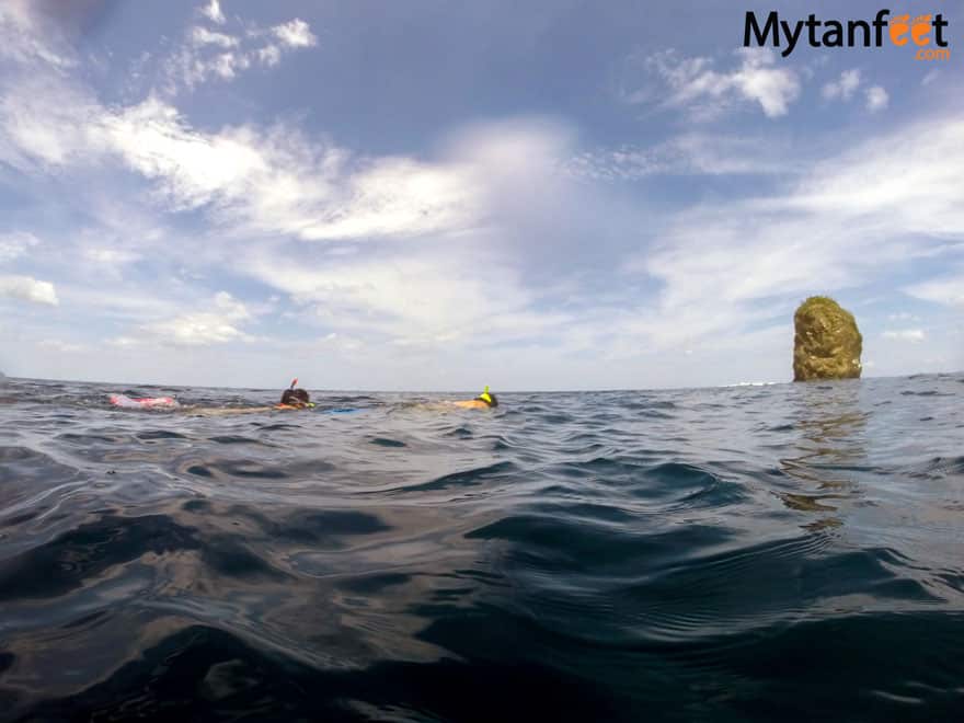 things to do in Guanacaste - snorkeling and scuba diving