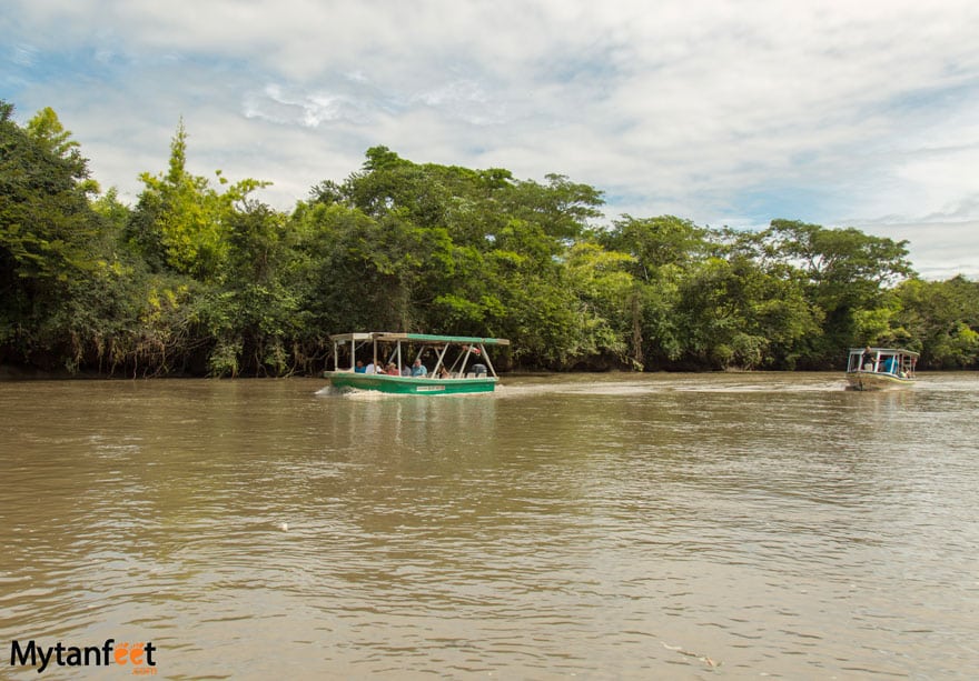 Things to do in Playa Conchal - Palo Verde National park