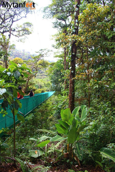 Sky adventures in Monteverde - hanging bridges