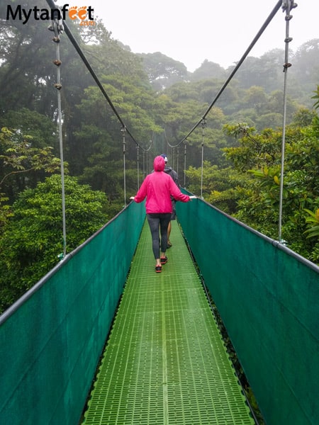 Sky adventures in Monteverde - sky walk