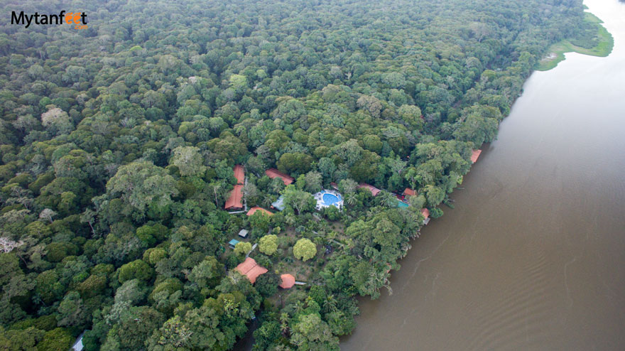 Tortuguero National Park - Evergreen lodge