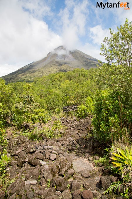 costa rica monkey tours - arenal volcano national park