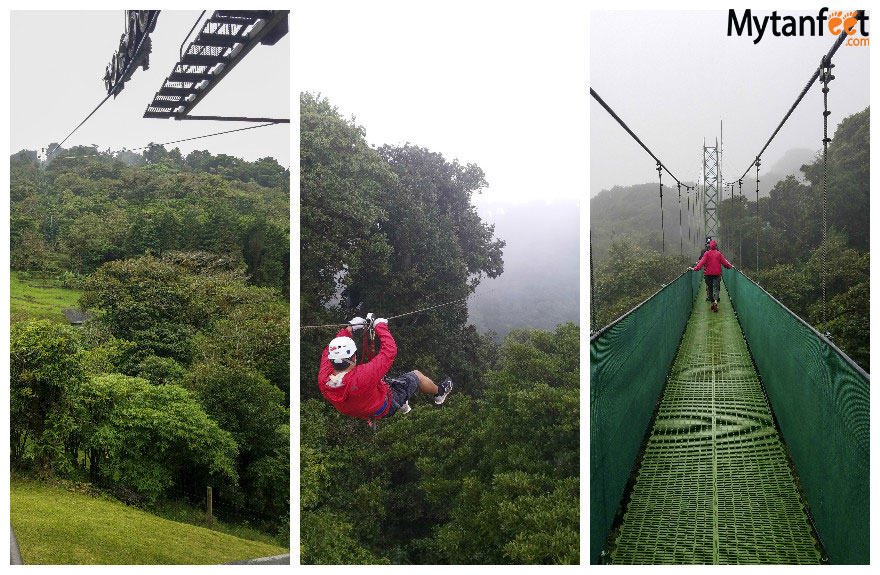 costa rica monkey tours - monteverde sky adventures